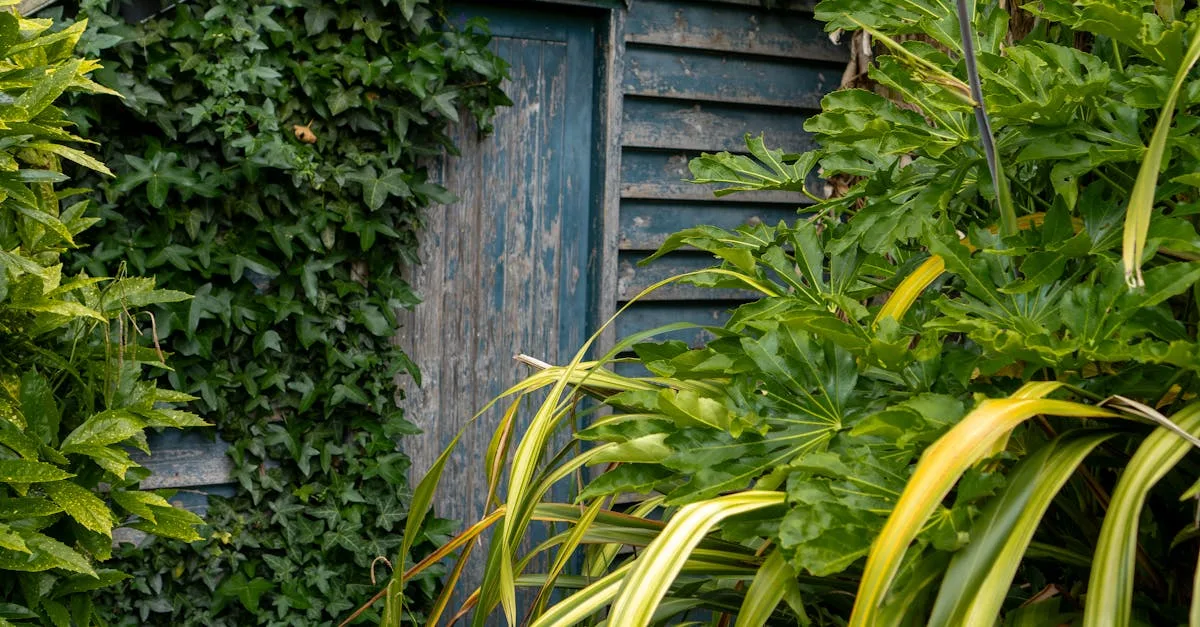 abri de jardin pratique et polyvalent pour ranger vos outils, équipements de jardinage et accessoires, tout en protégeant vos affaires des intempéries.
