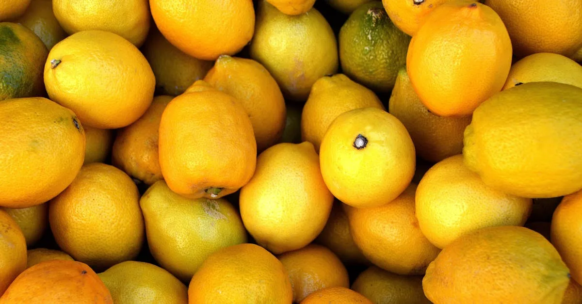 découvrez tout sur les pommes de terre : variétés, recettes savoureuses, conseils de cuisson et astuces pour une préparation réussie.