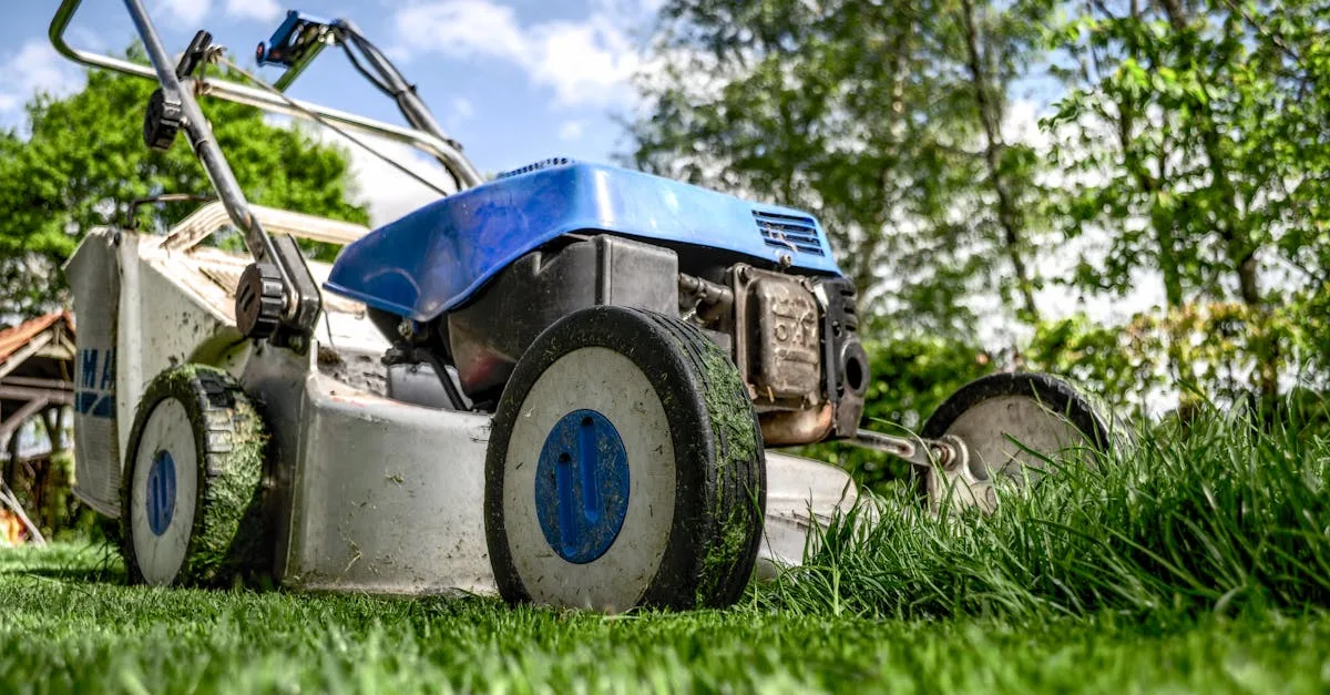 découvrez nos services professionnels d'entretien de jardin pour un extérieur toujours propre et bien soigné tout au long de l'année.